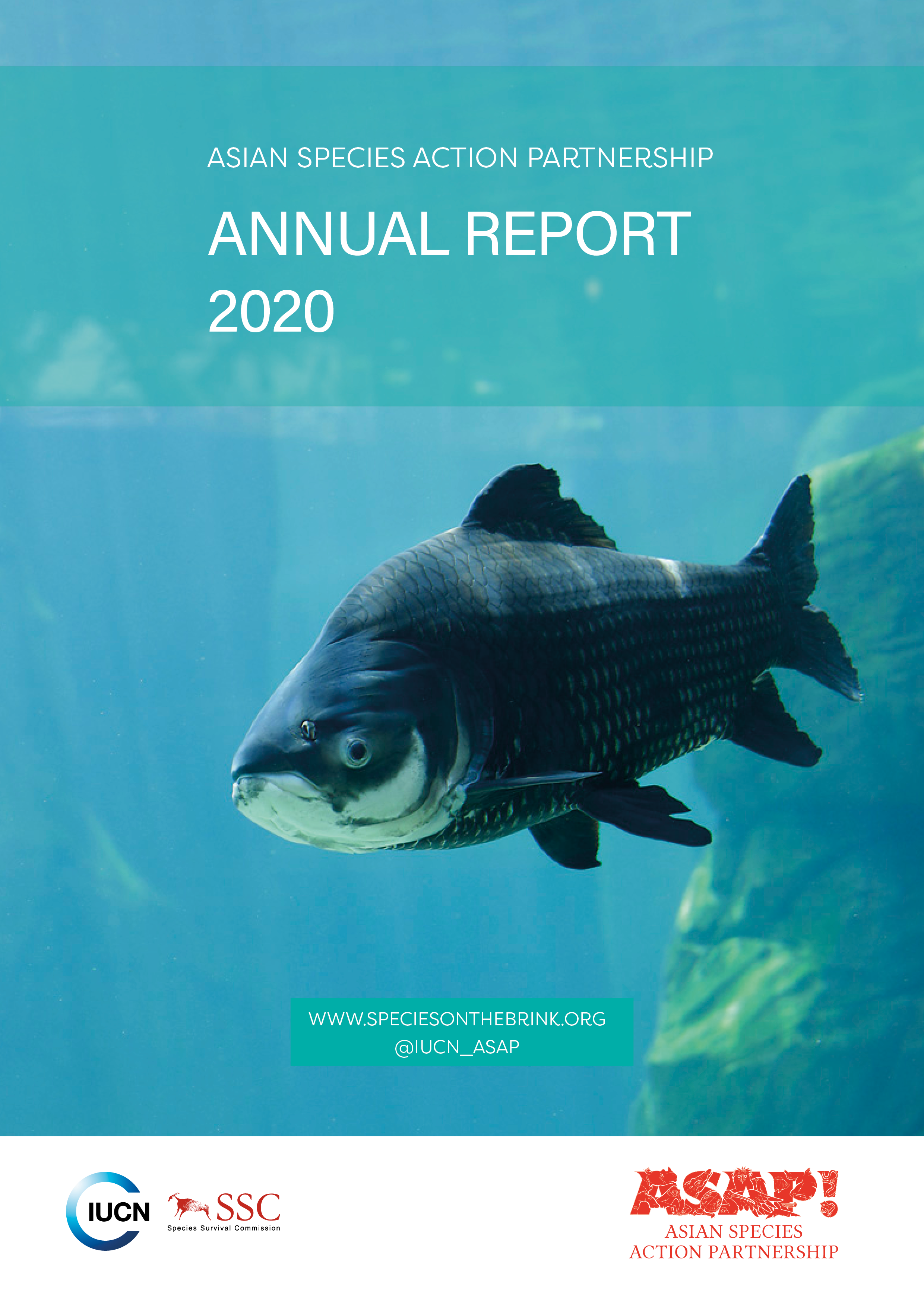 Annual report - Cover