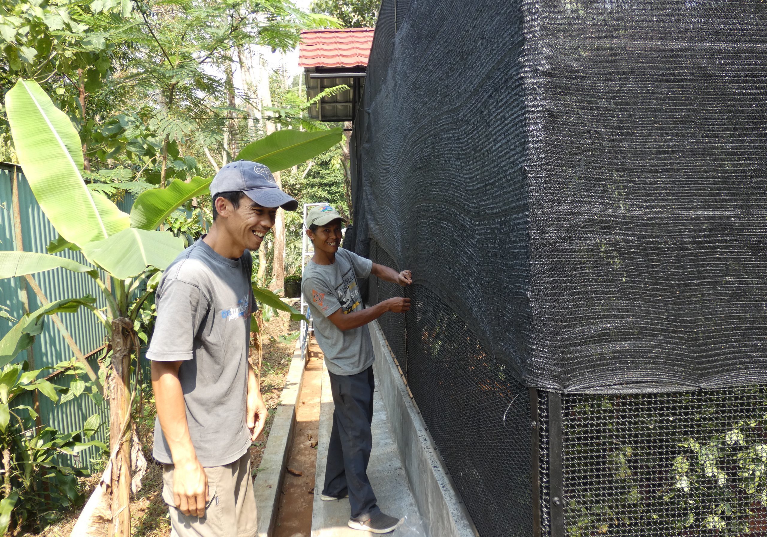 Bird Keepers Asep (left) and Wawan (right) preparing breeding cages_Cikananga Conservation Breeding Center